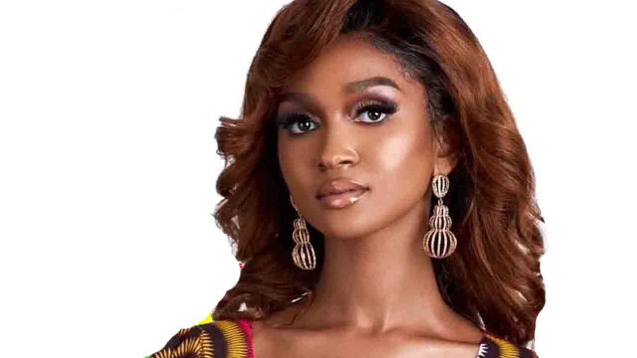 Ghana – Building Ghana’s Dog Grooming Industry